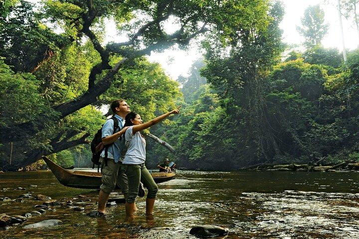 Taman Negara National Park Day Excursion from Kuala Lumpur