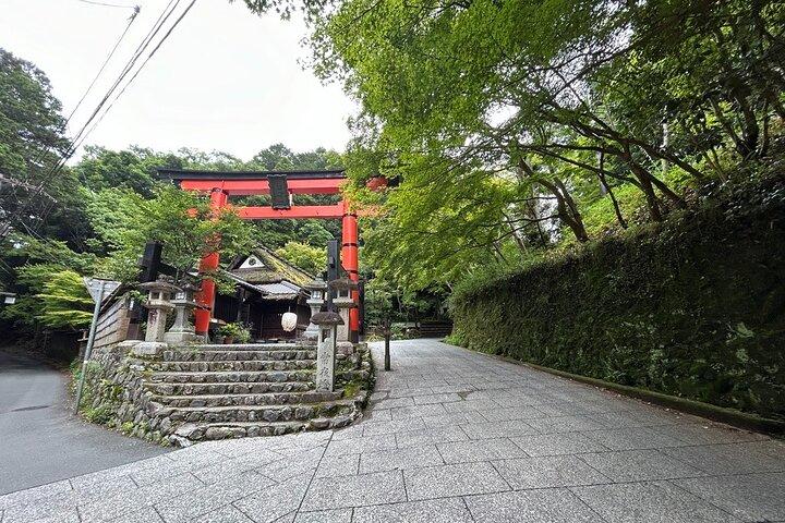 (4hours)Zero Emission Car Private Kyoto Tour with Japanese Guide