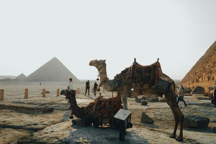 Half Day Giza Pyramids and Sphinx with Camel Ride
