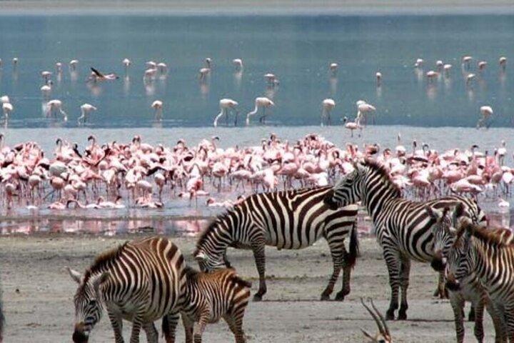 Private Day Tour to Lake Nakuru National Park