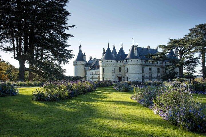 Loire Chambord Chenonceau Da Vinci Castle Private Tour from Paris