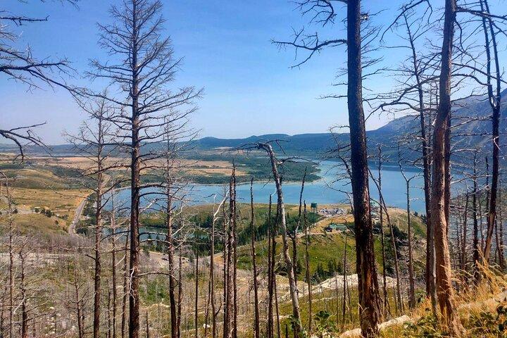 Waterton National Park Adventure Day tour from Calgary