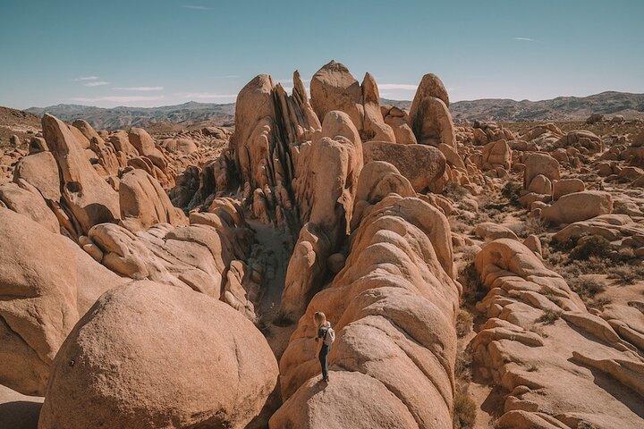 Private Joshua Tree NP Day tour from San Diego (10 hours)