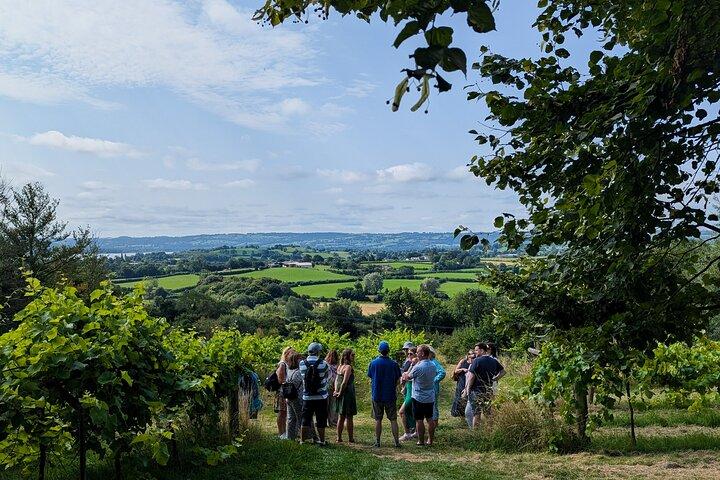 Wine & Cheese in the Somerset Valleys - with Michelin-star lunch!