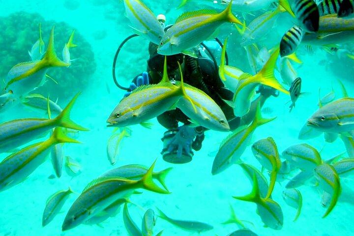 Semi-Submarine 2-hours Snorkeling with Transfer from Hurghada