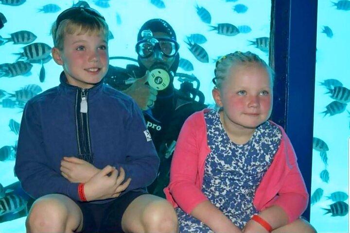 Semi-Submarine 2-hours Snorkeling with Transfer from Hurghada