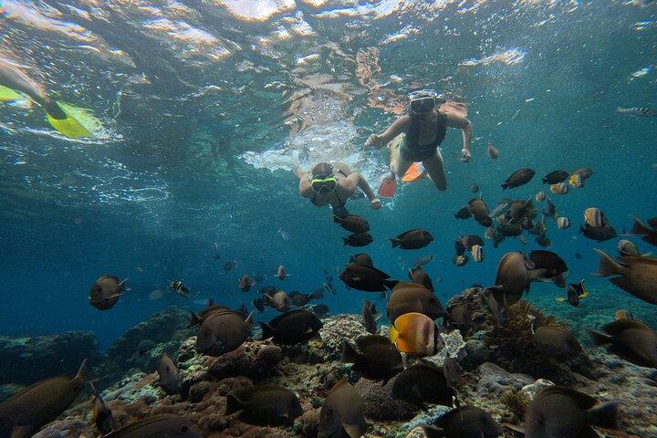 Lembongan Snorkeling at Manta Bay, Crystal Bay and Mangrove