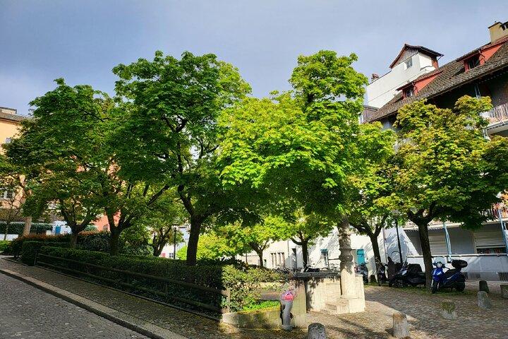 Zürich Historic District Tour