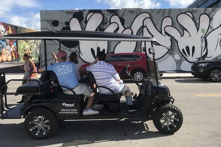 Wynwood Graffiti Golf Cart Small-Group Tour