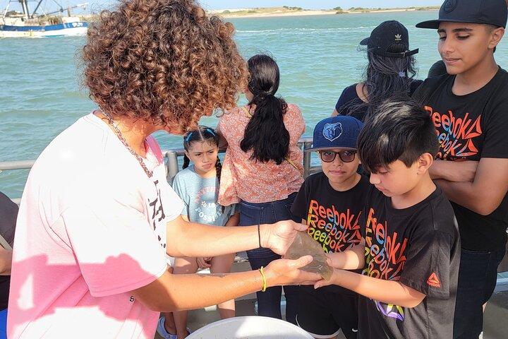 Eco Tour and Dolphin Watch