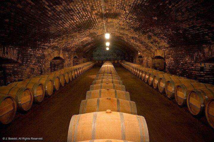 Cajon Del Maipo with Lunch and Visit to One Winery