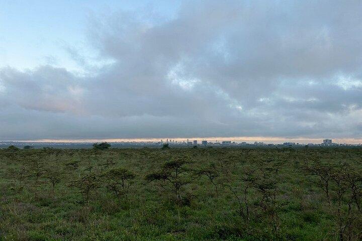 Giraffe Center and Nairobi National Park Tour