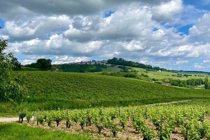 Eco Circuit to Discover Sancerre