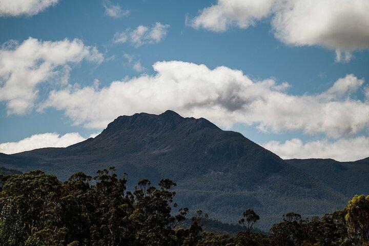 Hastings Caves, Tahune Airwalk and the Huon Tasting Trail