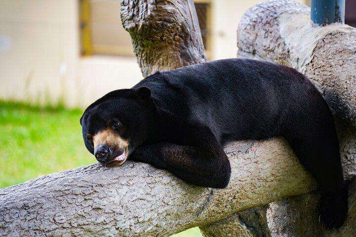 Full Day Pass Angkor Wildlife and Aquarium - Siem Reap