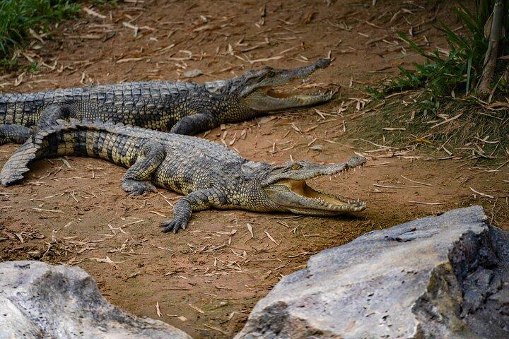 Full Day Pass Angkor Wildlife and Aquarium - Siem Reap