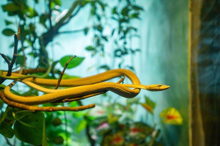 Full Day Pass Angkor Wildlife and Aquarium - Siem Reap