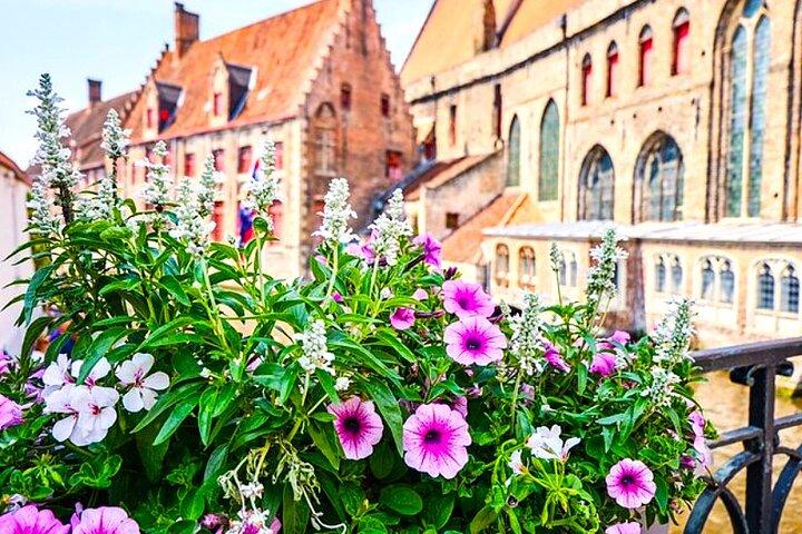 Bruges Delights - Best Tour Designed for Cruise Passengers