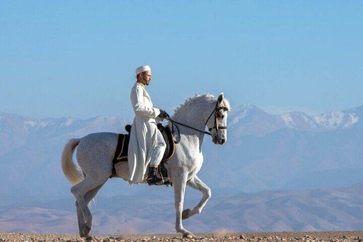 1 Hour Horse Riding in Agafay With Dinner & Transfer - Marrakesh