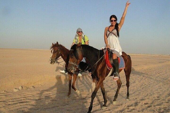 1 Hour Horse Riding in Agafay With Dinner & Transfer - Marrakesh