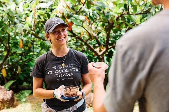 Kauai Chocolate Farm Tasting Tour
