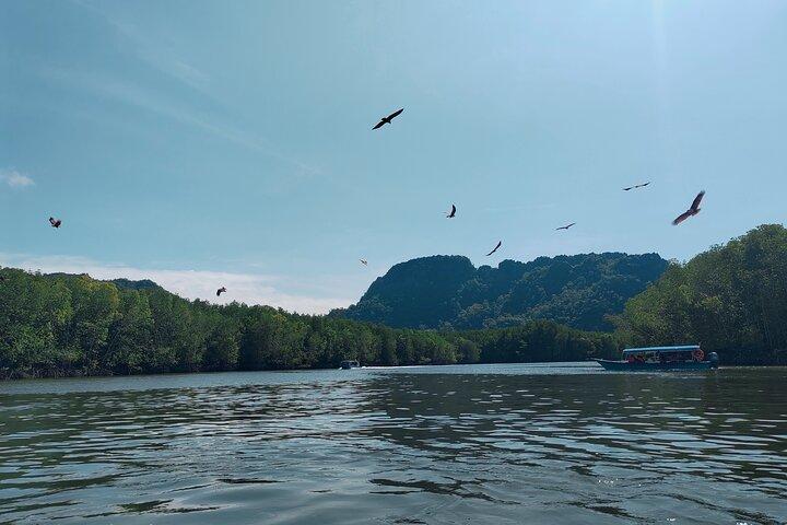 Combo Langkawi Cable Car & Sky Bridge With Mangrove Private Boat