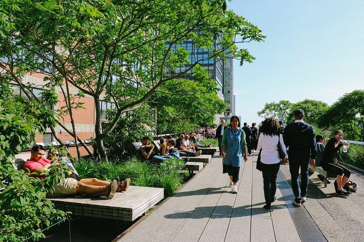 High Line, Chelsea and Hudson Yards Tour with Edge Entry Option