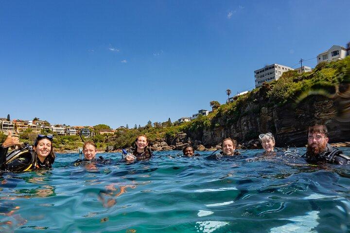 Guided Snorkeling Experience in Bondi