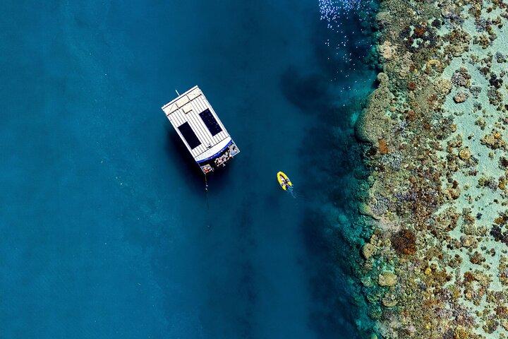 Airlie Beach Glass Bottom Boat Tour