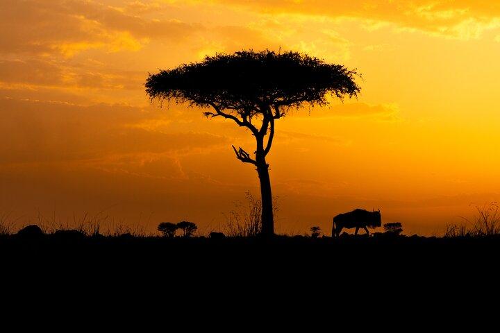 3 Days - Amazing Safari Serengeti and Ngorongoro Crater