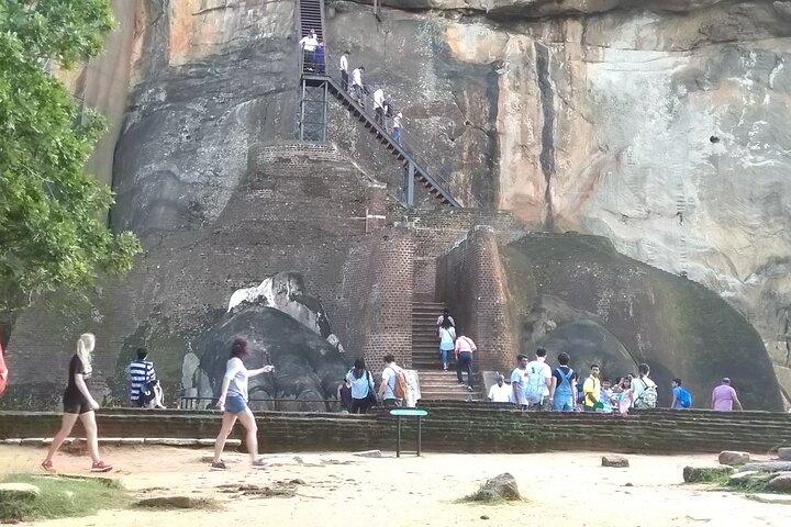 Dambulla, Sigiriya and National Park Safari Tour from Kandy