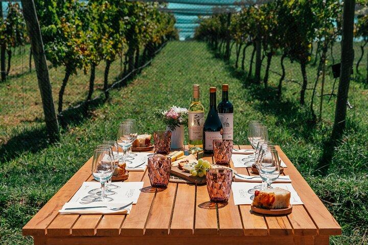 Buenos Aires: Wine tasting and lunch at Bodega Gamboa