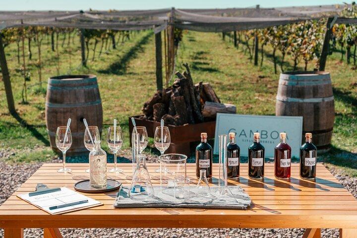 Buenos Aires: Wine tasting and lunch at Bodega Gamboa