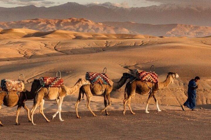 Marrakech: Quad & Camel Ride with Sunset, Dinner, Agafay desert