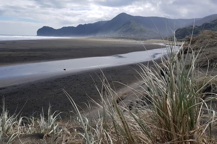 Piha Waterfalls and Wines