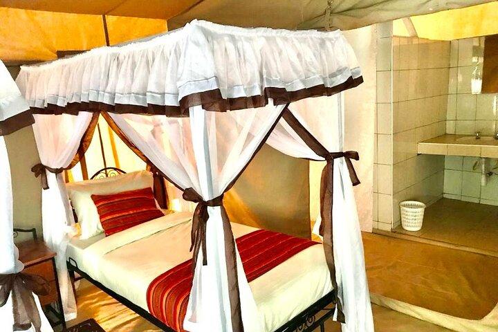 4-Day Masai Mara Big Five Safari