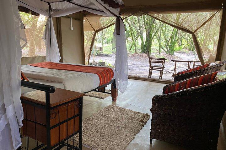 4-Day Masai Mara Big Five Safari
