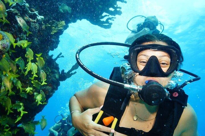 Two Dives and Class for Begginers Divers in Cancun