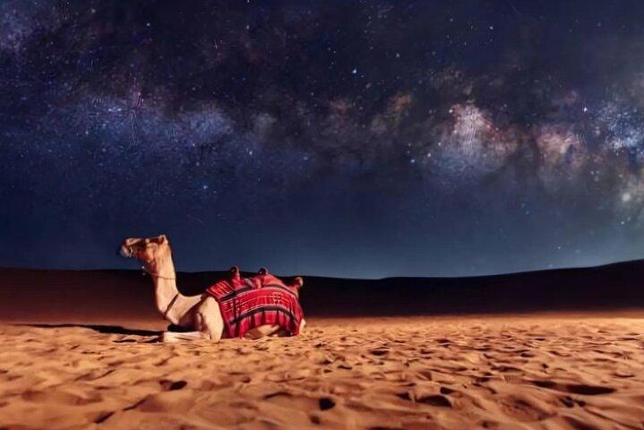Dubai Half Day Desert Safari With Camel Ride and Quad Bike Option