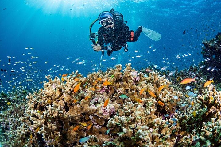 PADI Open Water course (5 Dives.3 Days)
