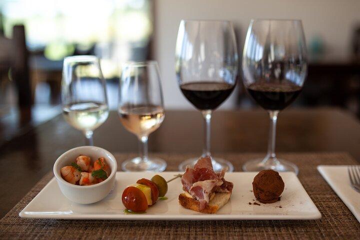 Pizzorno Winery with Lunch and Wine Tasting