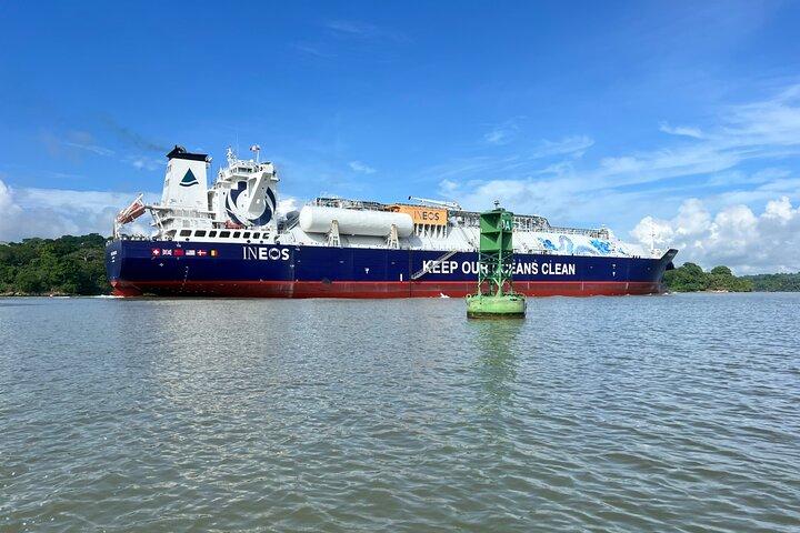 Wildlife Boat Tour in the Panama Canal Lake