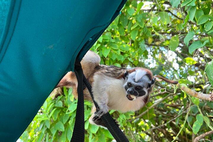 Wildlife Boat Tour in the Panama Canal Lake