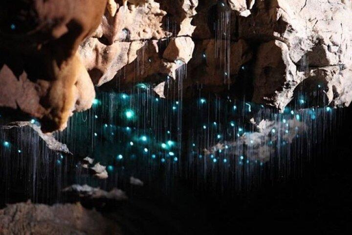 Waitomo Spellbound Glowworm Caves Small Group Tour from Auckland