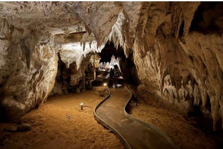 Waitomo Spellbound Glowworm Caves Small Group Tour from Auckland