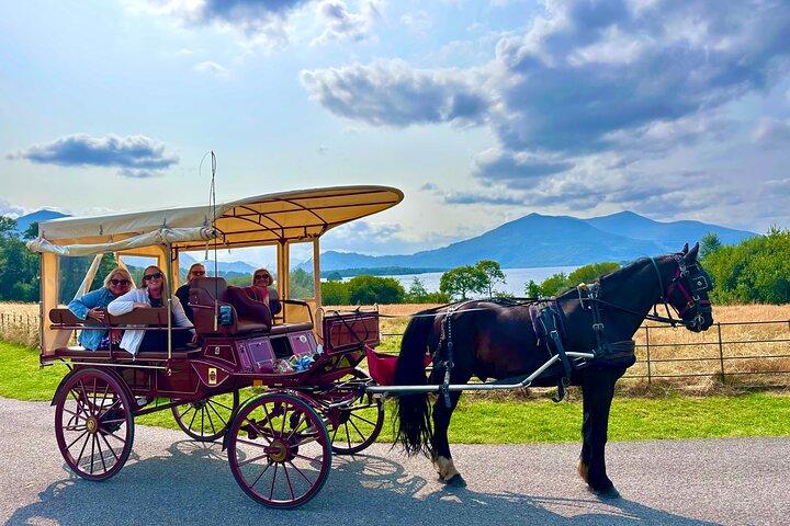 Killarney Jaunting Car Tour