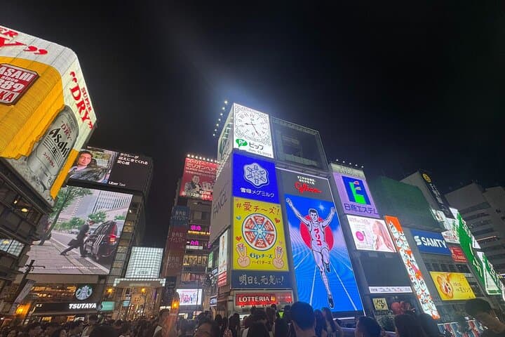Osaka Private Customizable Sightseeing Tour with Chauffeur