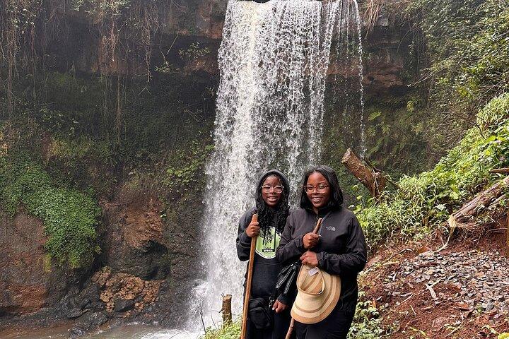 Purple Tea Farm Day Tour from Nairobi