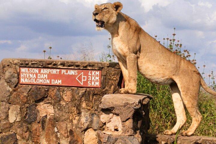 Nairobi National Park Game Drive