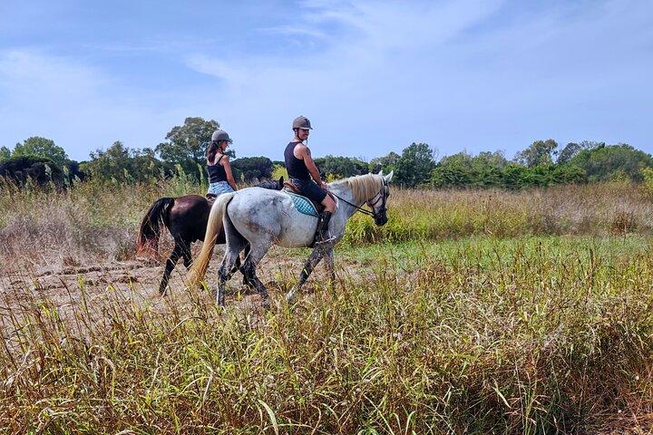 Horse Sanctuary & Trail Ride